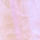 Girliesh Gulabi - Blush pink