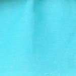 Florid Top - Rama green